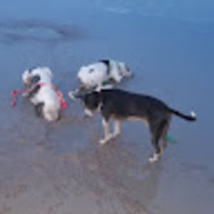 Meet your Posher, Cabrina